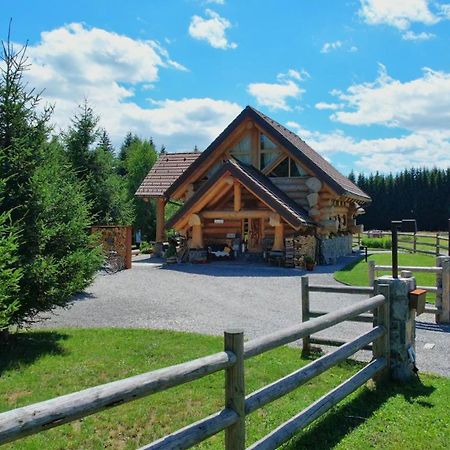 Kraljica Sume - Divjake Log Home Hlevci Exterior photo