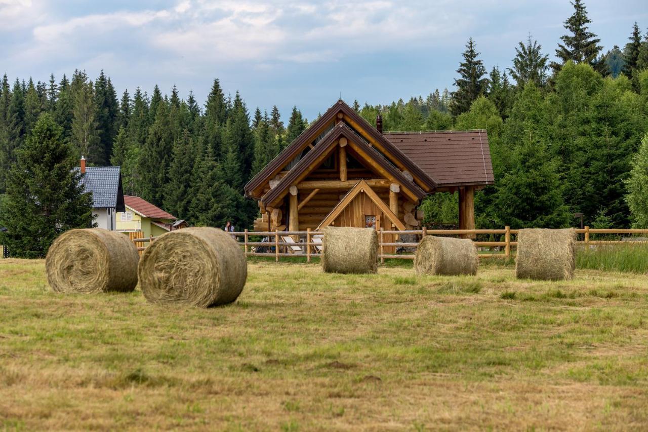 Kraljica Sume - Divjake Log Home Hlevci Exterior photo