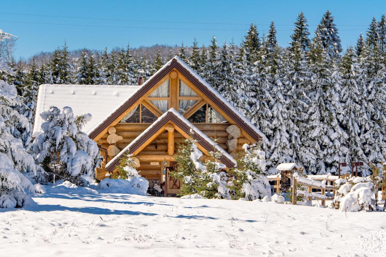 Kraljica Sume - Divjake Log Home Hlevci Exterior photo