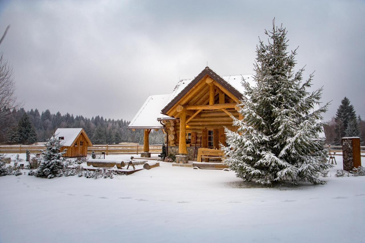 Kraljica Sume - Divjake Log Home Hlevci Exterior photo