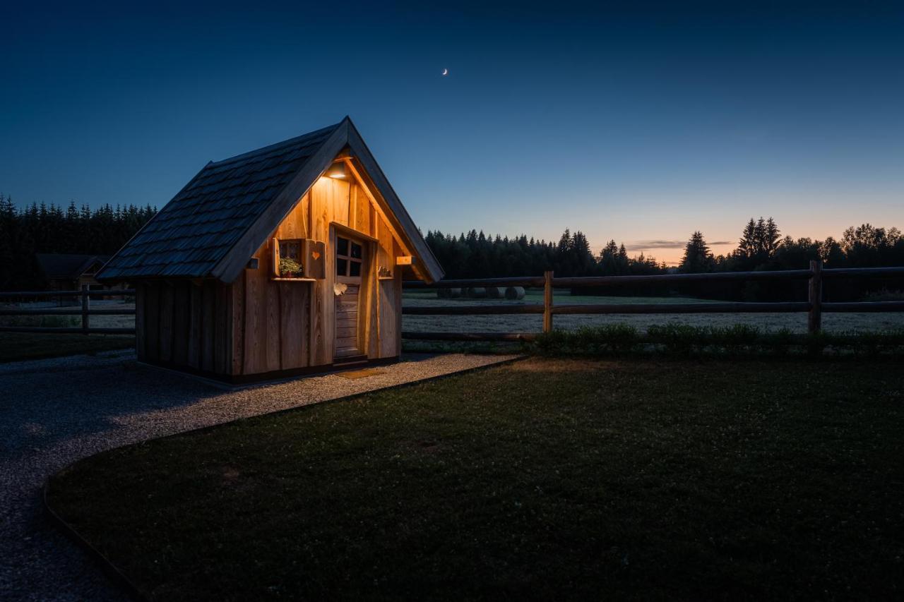 Kraljica Sume - Divjake Log Home Hlevci Exterior photo