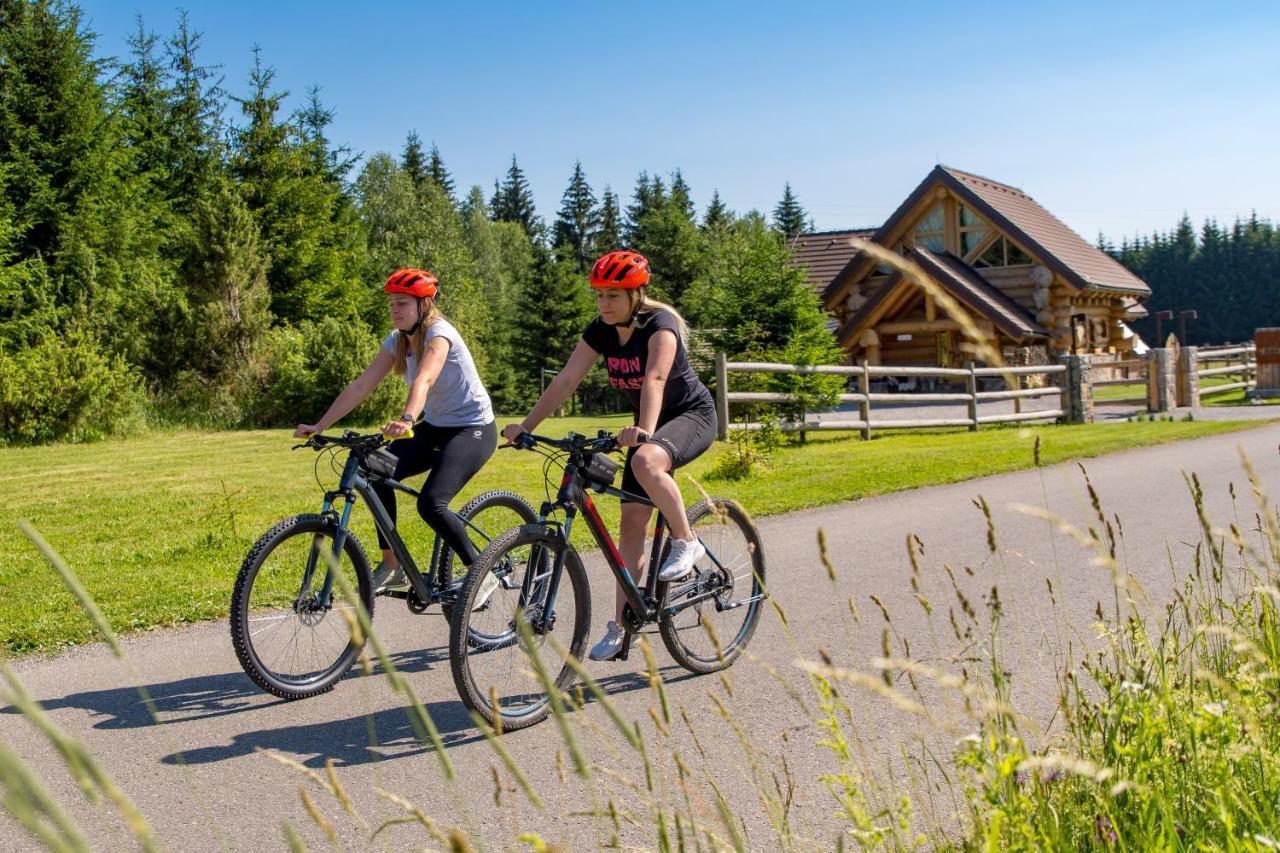 Kraljica Sume - Divjake Log Home Hlevci Exterior photo